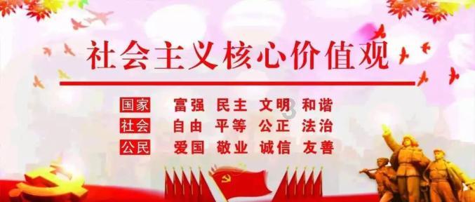 《重构基层社会》聚焦桐乡“三治融合”建设