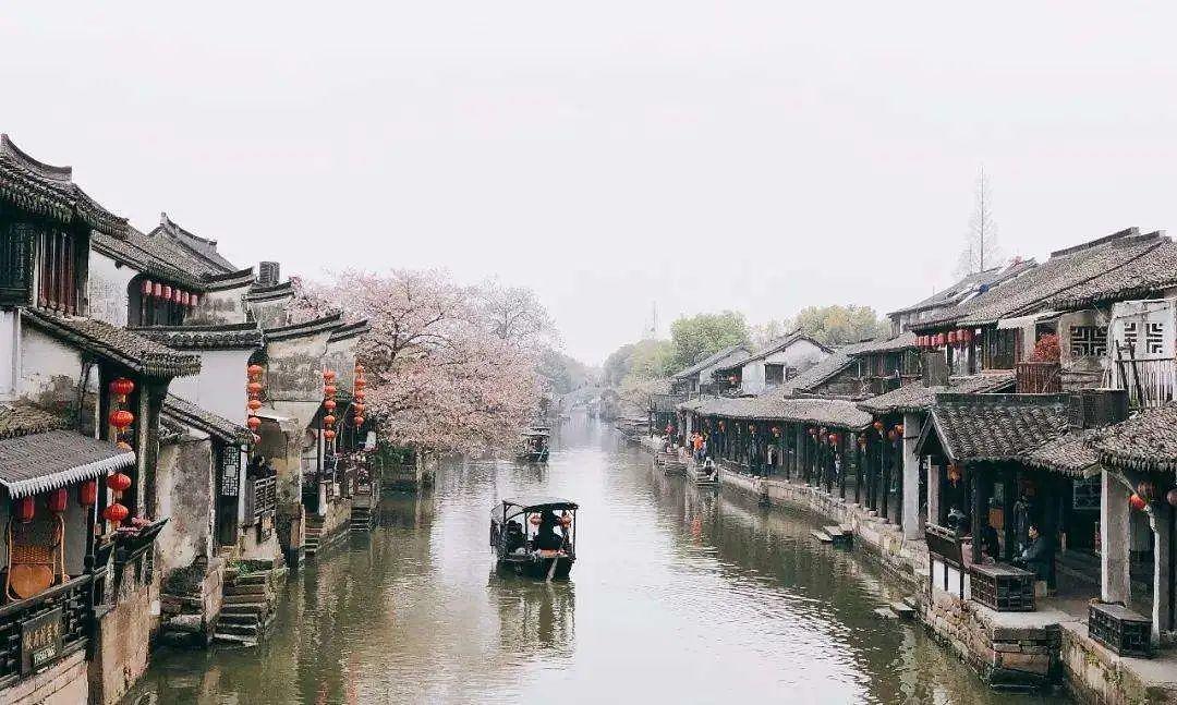 蓝狐视频